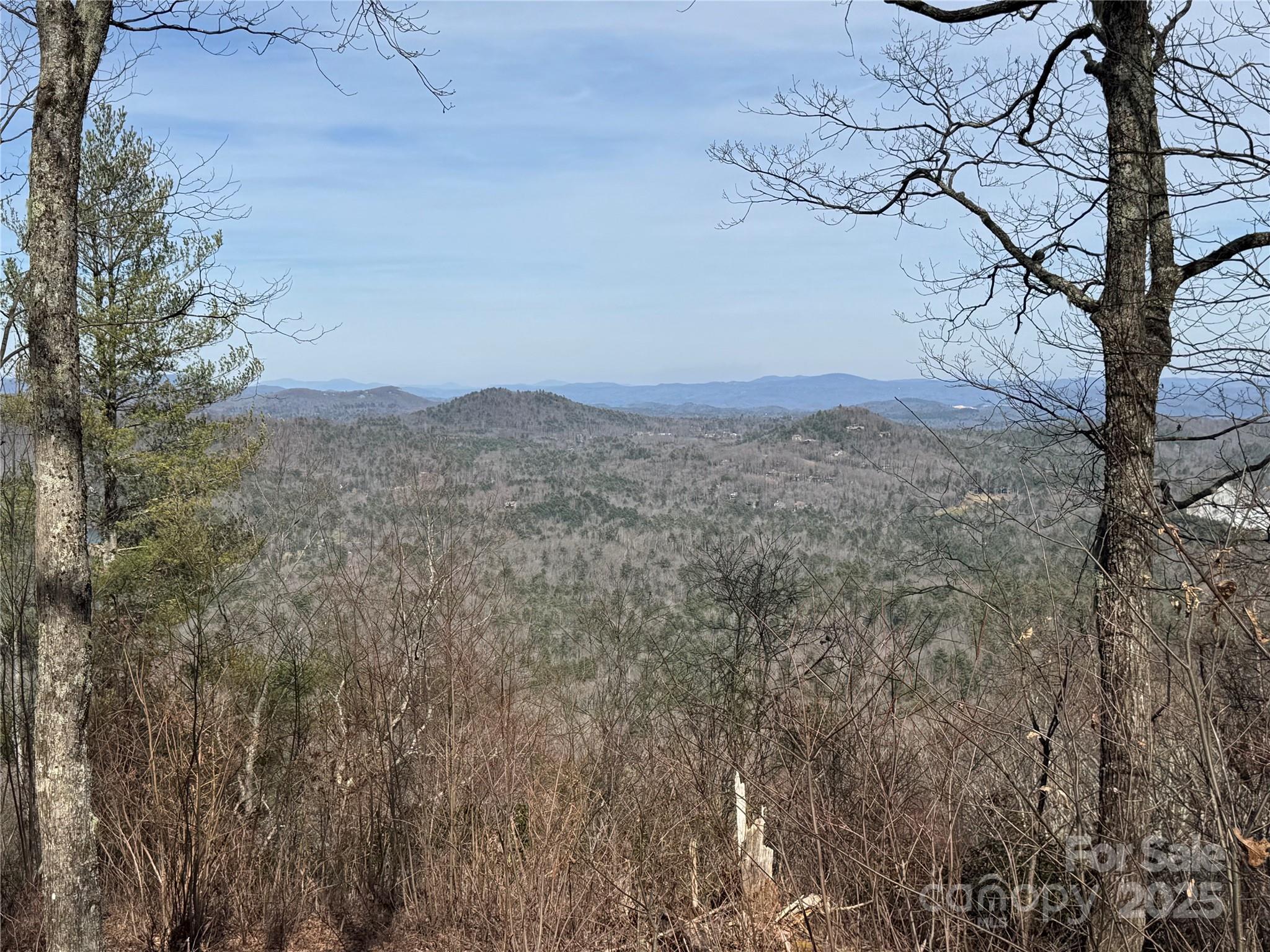 a view of mountain view with lots of trees