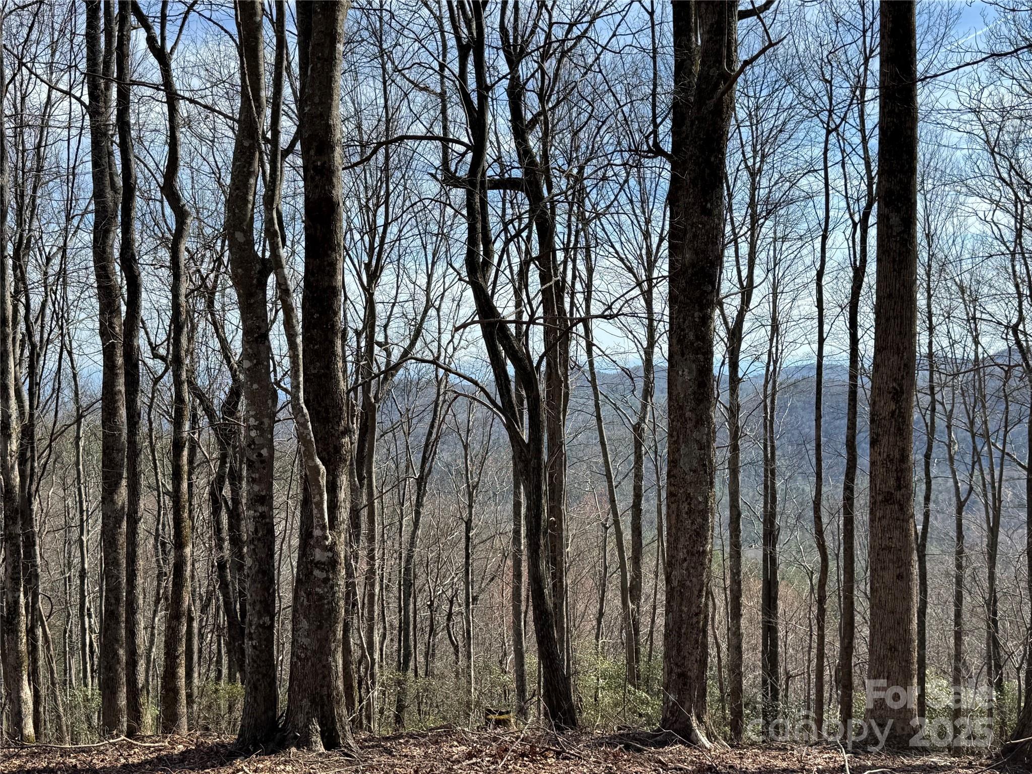 L4 Windy Gap Lane Cullowhee, NC 28723 - Photo 11 of 13 a view of outdoor space with lots of trees