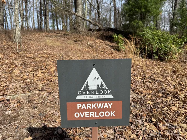 a view of outdoor space with signage and flags