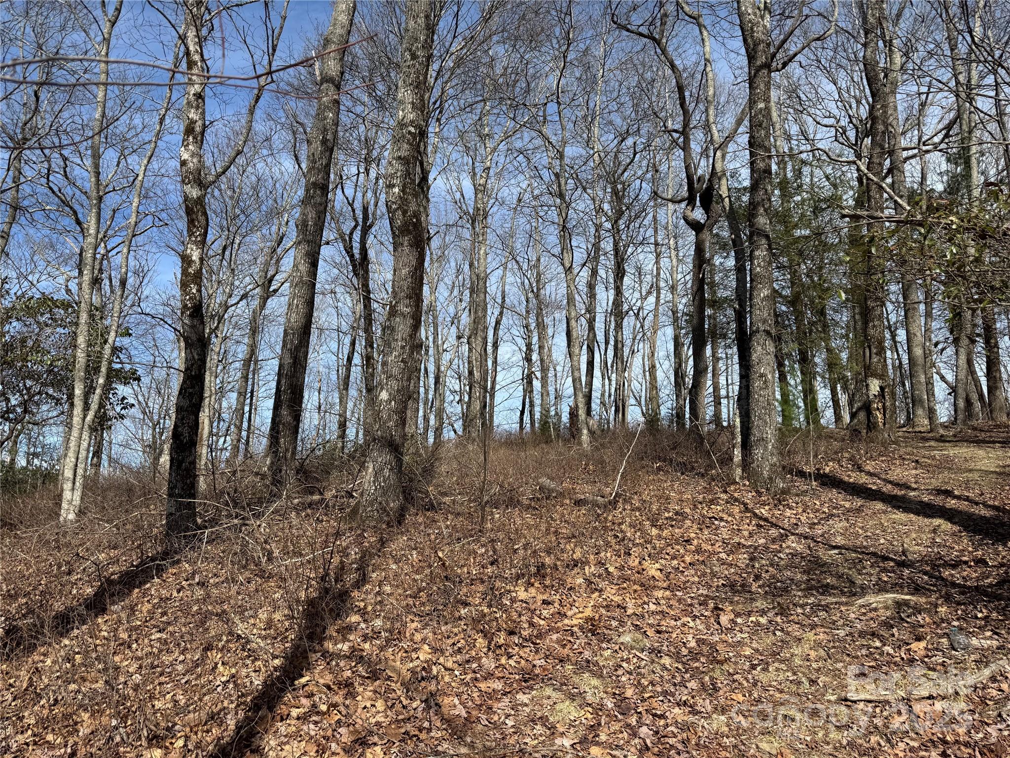 L4 Windy Gap Lane Cullowhee, NC 28723 - Photo 3 of 13 a backyard of a house with lots of green space