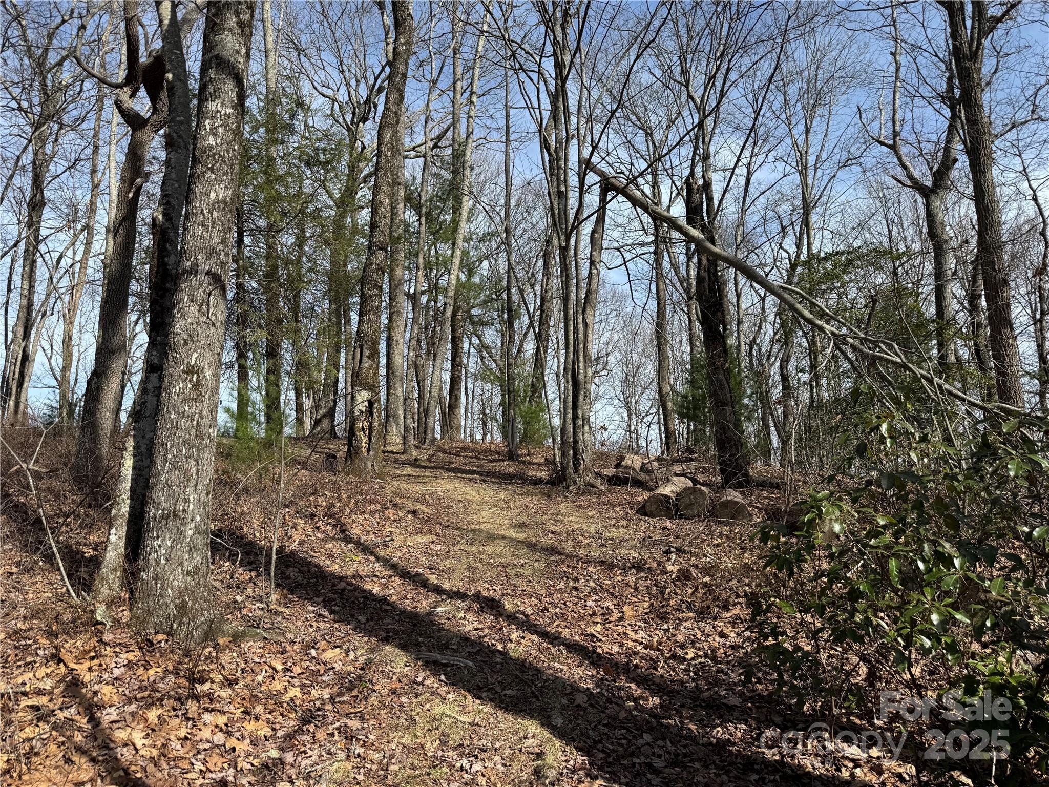 L4 Windy Gap Lane Cullowhee, NC 28723 - Photo 4 of 13 a view of a backyard with large trees