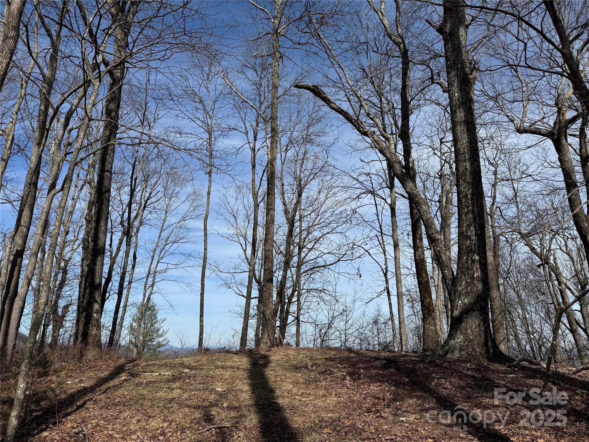 L4 Windy Gap Lane Cullowhee, NC 28723 - Photo 5 of 13 a view of a yard with trees