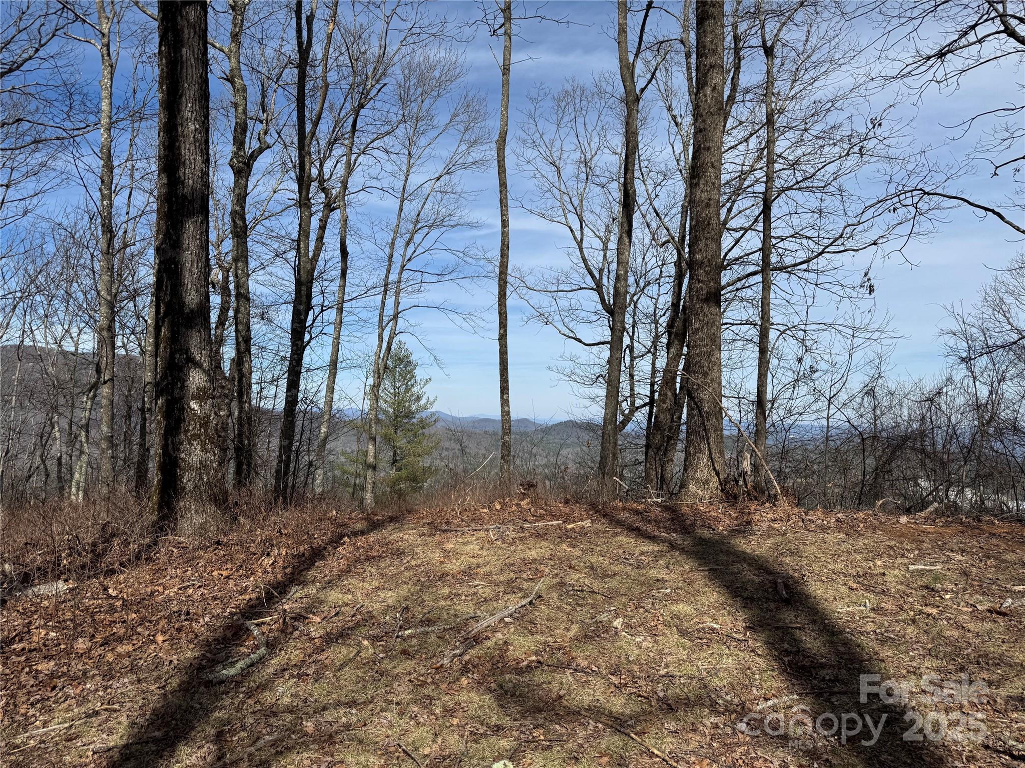 L4 Windy Gap Lane Cullowhee, NC 28723 - Photo 6 of 13 a backyard of a house with lots of green space