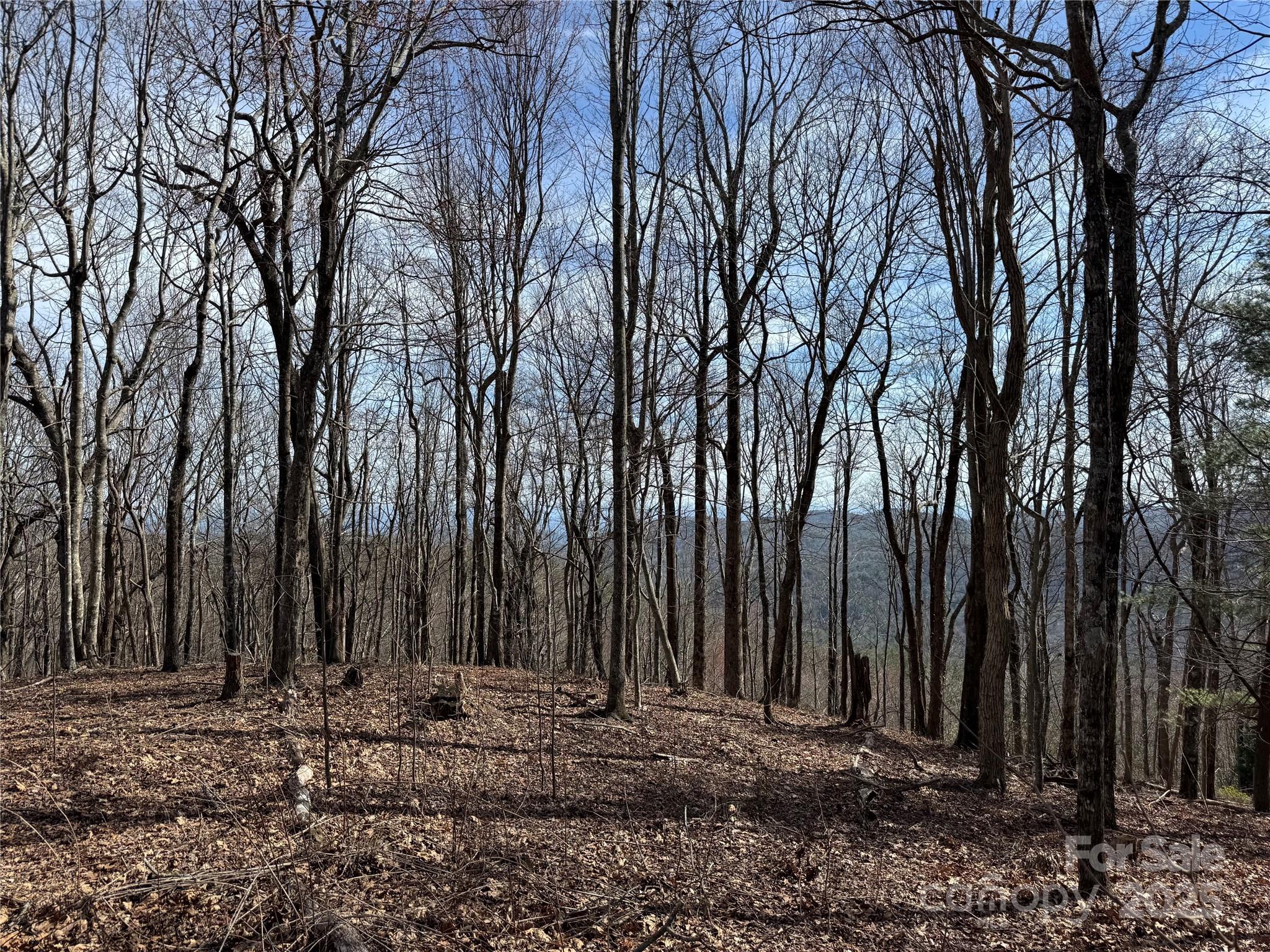 L4 Windy Gap Lane Cullowhee, NC 28723 - Photo 9 of 13 a view of a backyard with large trees