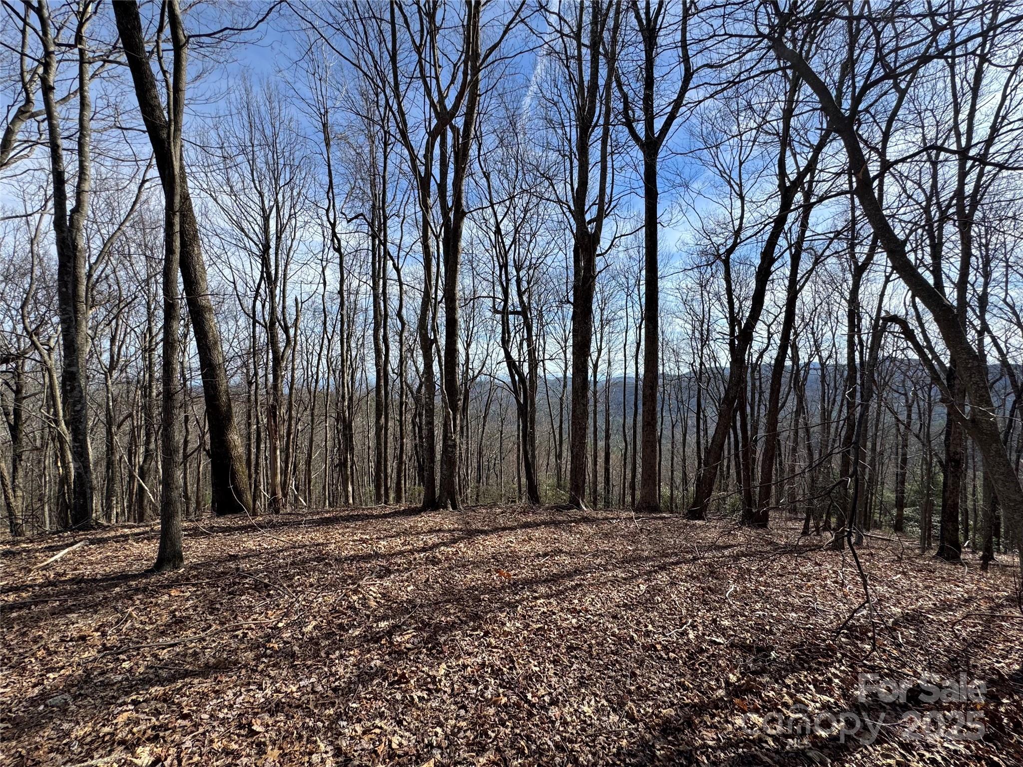 L4 Windy Gap Lane Cullowhee, NC 28723 - Photo 10 of 13 a view of a backyard