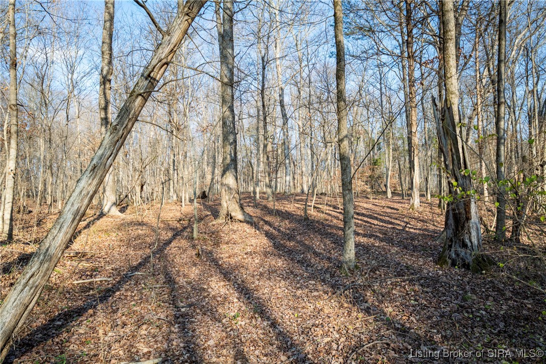 3128 Jack Teeple Road Charlestown, IN 47111 - Photo 62 of 87 Gallery Image 62