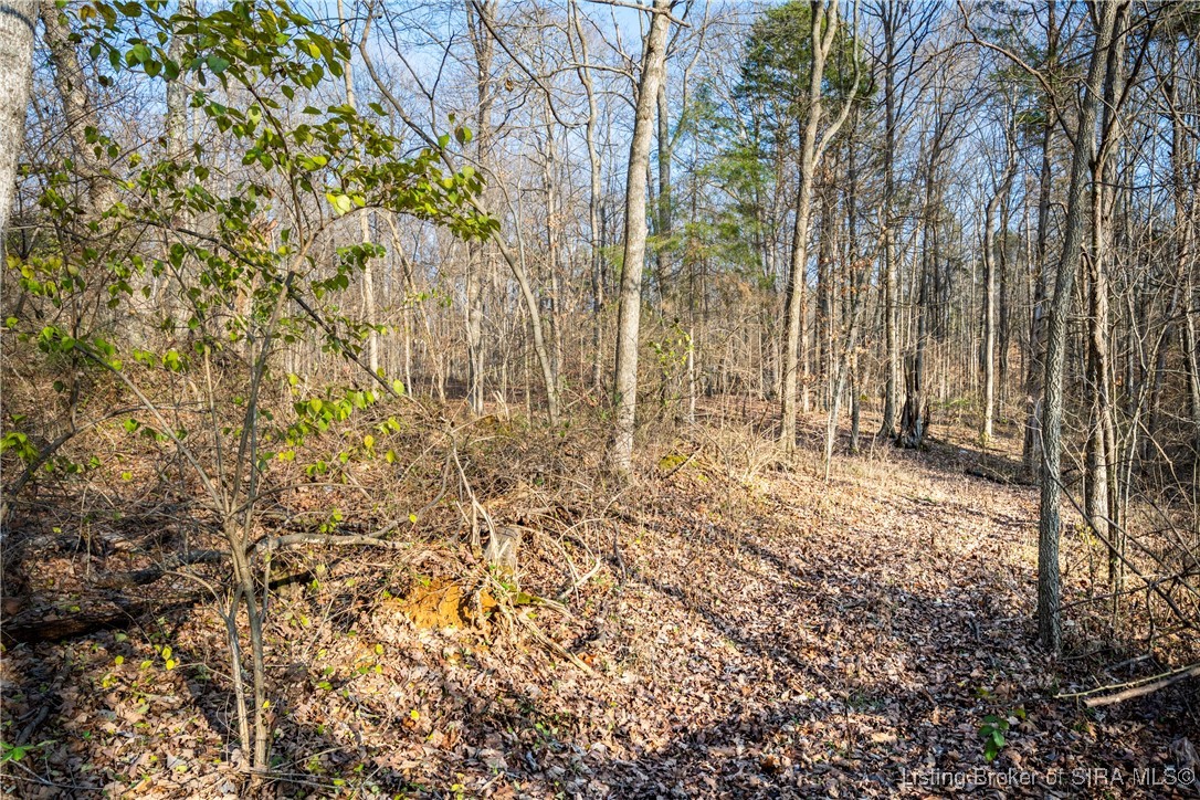 3128 Jack Teeple Road Charlestown, IN 47111 - Photo 63 of 87 Gallery Image 63