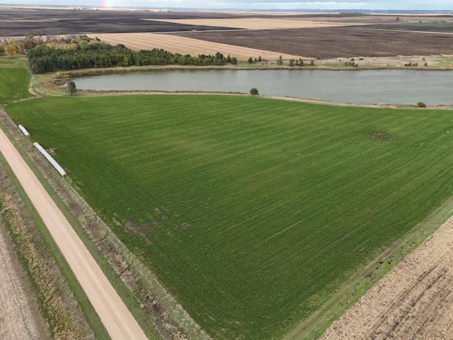 $149,900 | Xxxxx 540th Avenue, Alberta, MN 56207