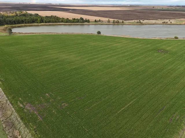 $149,900 | Xxxxx 540th Avenue, Alberta, MN 56207