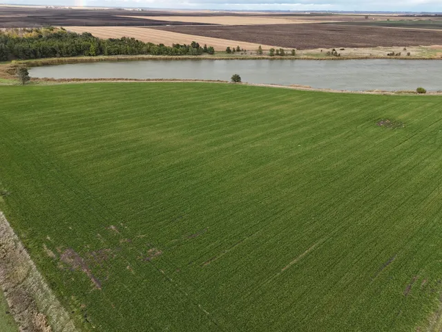 $149,900 | Xxxxx 540th Avenue, Alberta, MN 56207