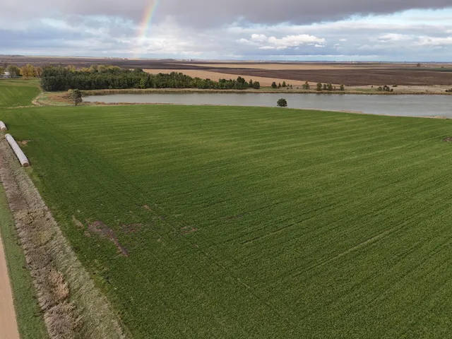 $149,900 | Xxxxx 540th Avenue, Alberta, MN 56207