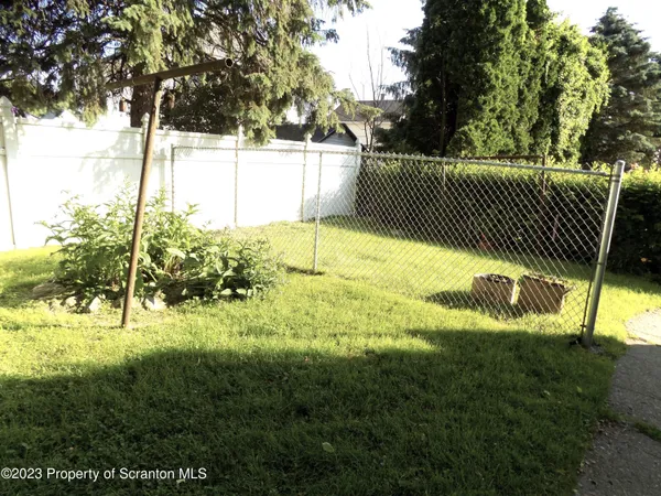 a view of a yard with plants and trees