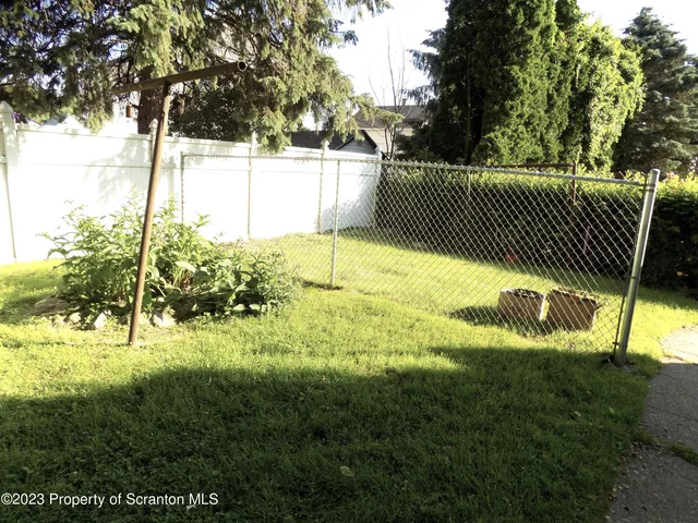 a view of a yard with plants and trees