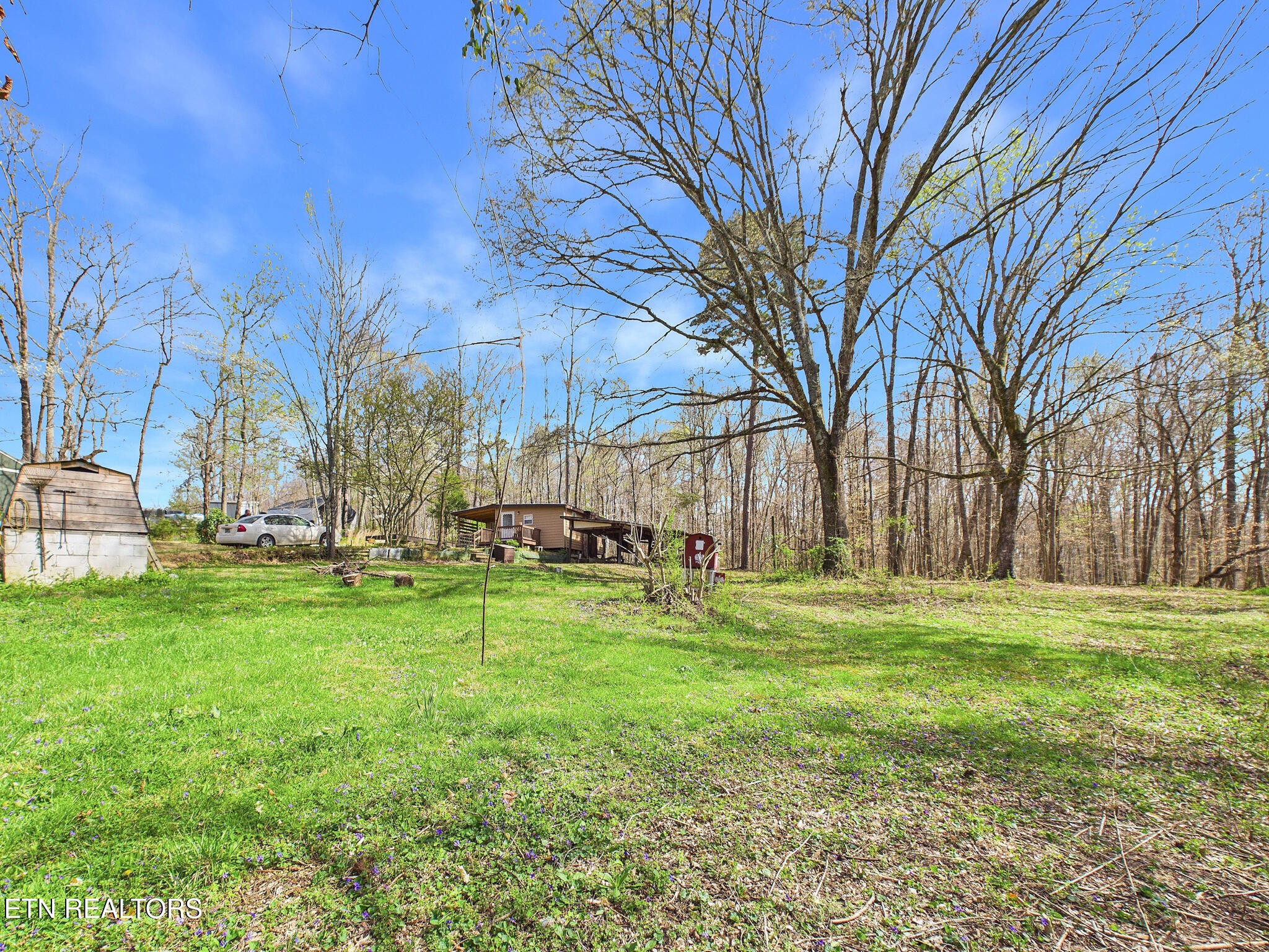 299 Moss Boat Dock Lane Decatur, TN 37322 - Photo 5 of 15