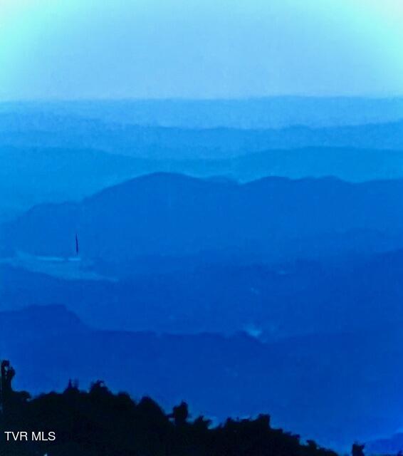 212 Upper Cliffside Drive Elizabethton, TN 37643 - Photo 101 of 130 IMG_8966