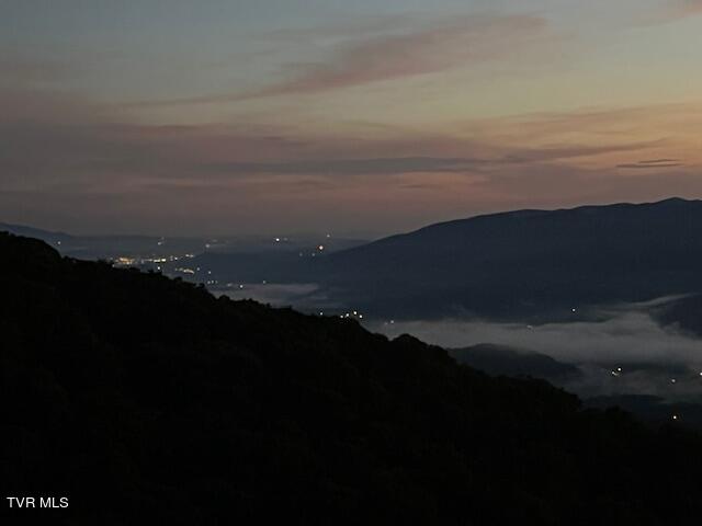 212 Upper Cliffside Drive Elizabethton, TN 37643 - Photo 102 of 130 IMG_0152