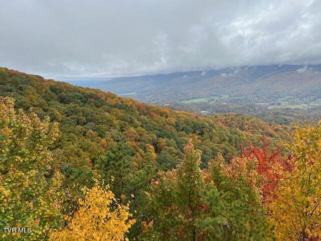 212 Upper Cliffside Drive Elizabethton, TN 37643 - Photo 103 of 130 IMG_0399