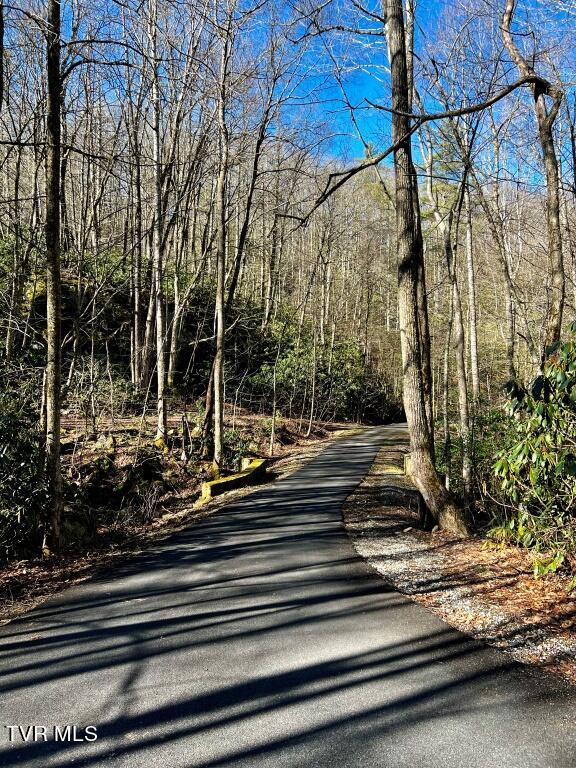 212 Upper Cliffside Drive Elizabethton, TN 37643 - Photo 114 of 130 8