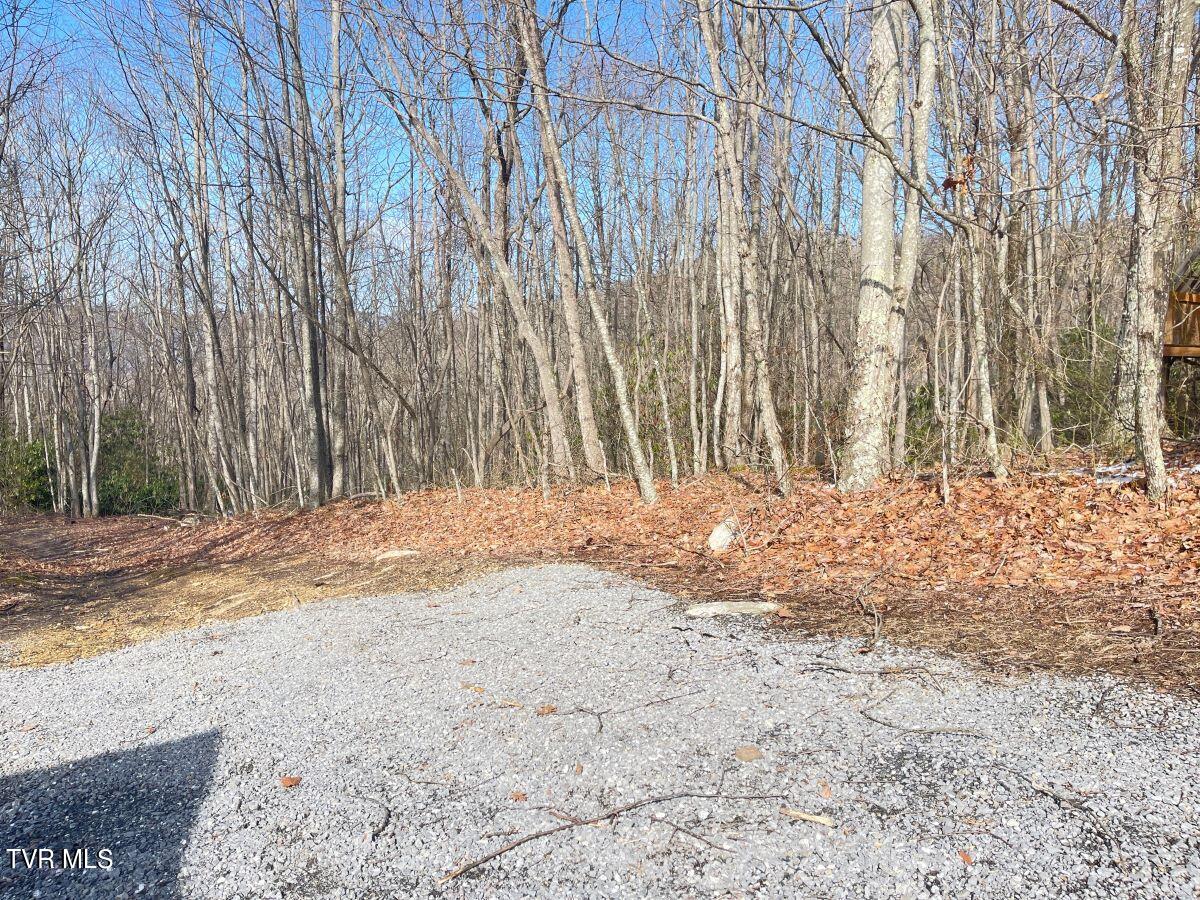 212 Upper Cliffside Drive Elizabethton, TN 37643 - Photo 120 of 130 1