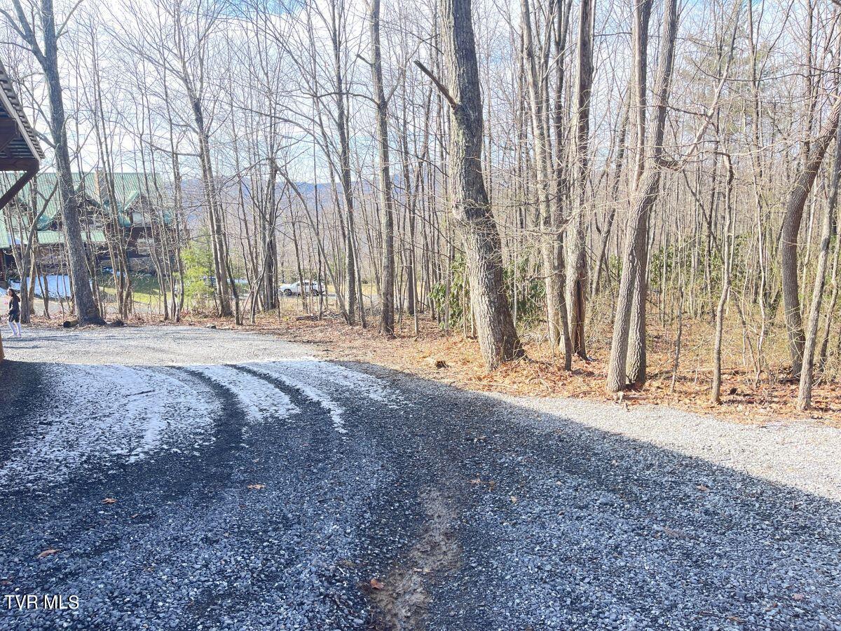 212 Upper Cliffside Drive Elizabethton, TN 37643 - Photo 122 of 130 3