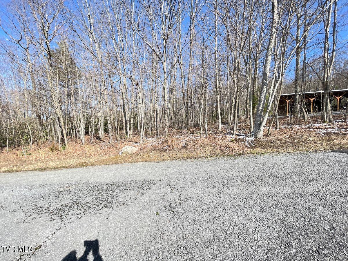 212 Upper Cliffside Drive Elizabethton, TN 37643 - Photo 126 of 130 8