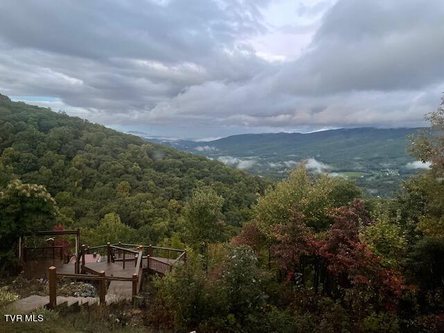 212 Upper Cliffside Drive Elizabethton, TN 37643 - Photo 15 of 130 65538458656__6B4BDCDF-3219-46AE-9E51-E0C