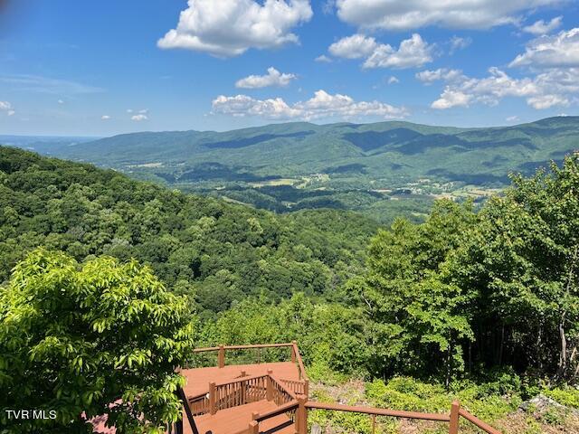 212 Upper Cliffside Drive Elizabethton, TN 37643 - Photo 16 of 130 67613503146__CA009A28-D29C-491D-BD1D-067