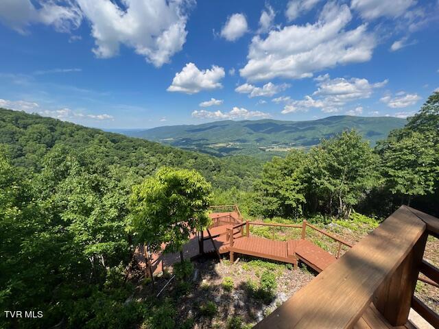 212 Upper Cliffside Drive Elizabethton, TN 37643 - Photo 17 of 130 67613499504__EB92536F-1F8F-4ED1-9B2C-DC5