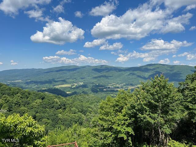 212 Upper Cliffside Drive Elizabethton, TN 37643 - Photo 19 of 130 67613512612__139E70E8-005D-404F-A340-F9F