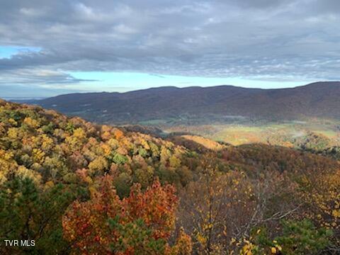 212 Upper Cliffside Drive Elizabethton, TN 37643 - Photo 20 of 130 Upper Cliffside 12
