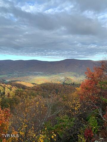 212 Upper Cliffside Drive Elizabethton, TN 37643 - Photo 21 of 130 Upper Cliffside 13