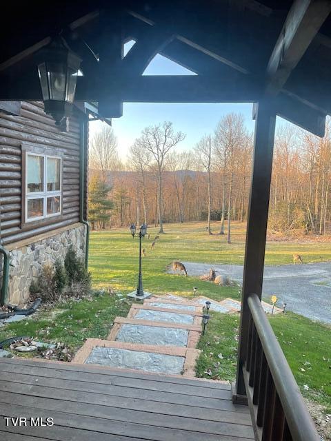 212 Upper Cliffside Drive Elizabethton, TN 37643 - Photo 22 of 130 IMG_1679