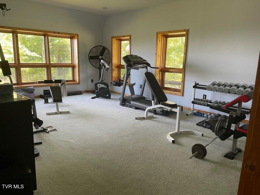 212 Upper Cliffside Drive Elizabethton, TN 37643 - Photo 69 of 130 Upper Cliffside 54