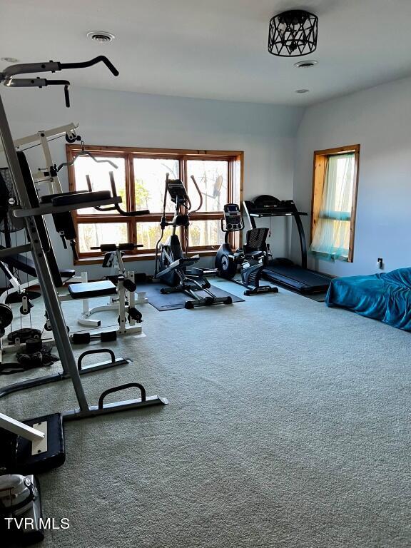 212 Upper Cliffside Drive Elizabethton, TN 37643 - Photo 70 of 130 5