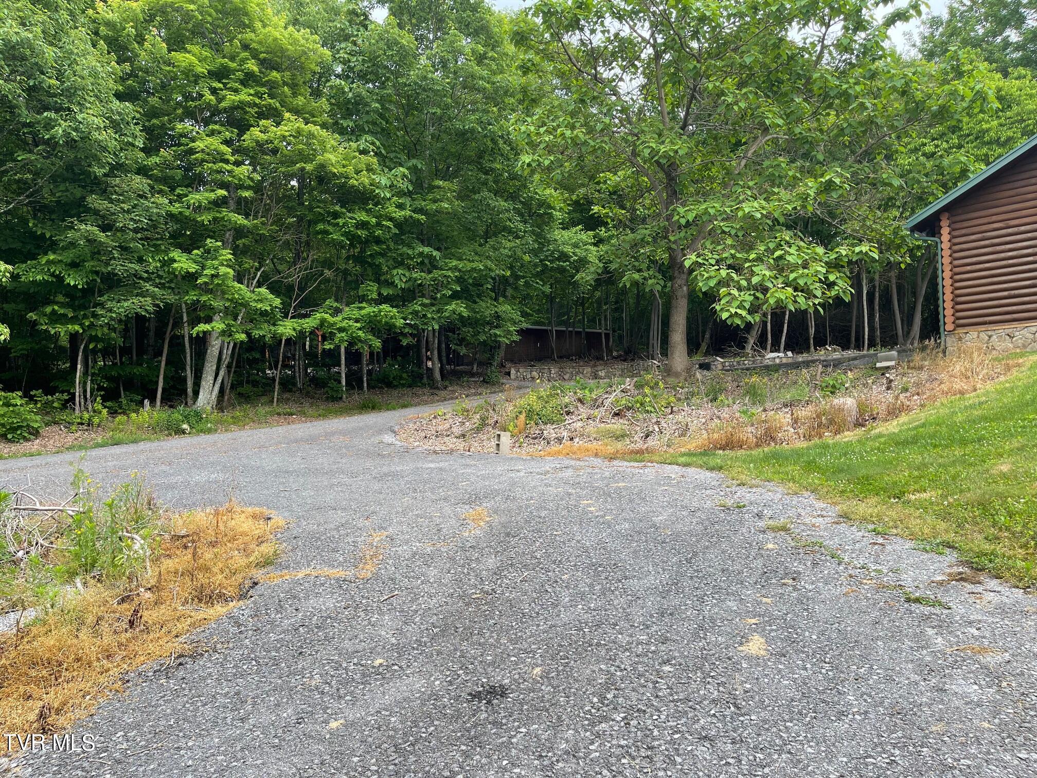 212 Upper Cliffside Drive Elizabethton, TN 37643 - Photo 75 of 130 IMG_5465