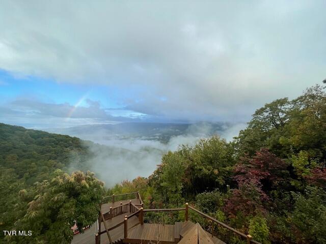 212 Upper Cliffside Drive Elizabethton, TN 37643 - Photo 76 of 130 IMG_1187 (1)