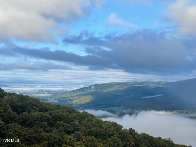 212 Upper Cliffside Drive Elizabethton, TN 37643 - Photo 77 of 130 IMG_1181 (1)