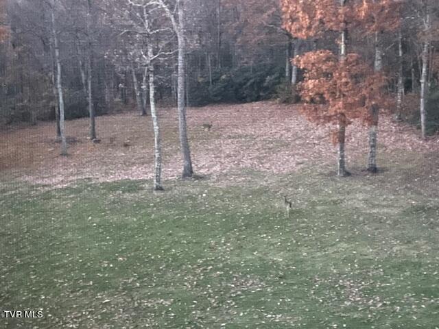 212 Upper Cliffside Drive Elizabethton, TN 37643 - Photo 83 of 130 65862265265__B7259FE9-F5C9-4982-9D63-E95