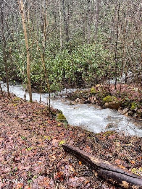 212 Upper Cliffside Drive Elizabethton, TN 37643 - Photo 84 of 130 IMG_1629