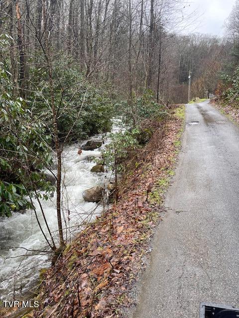 212 Upper Cliffside Drive Elizabethton, TN 37643 - Photo 85 of 130 IMG_1624