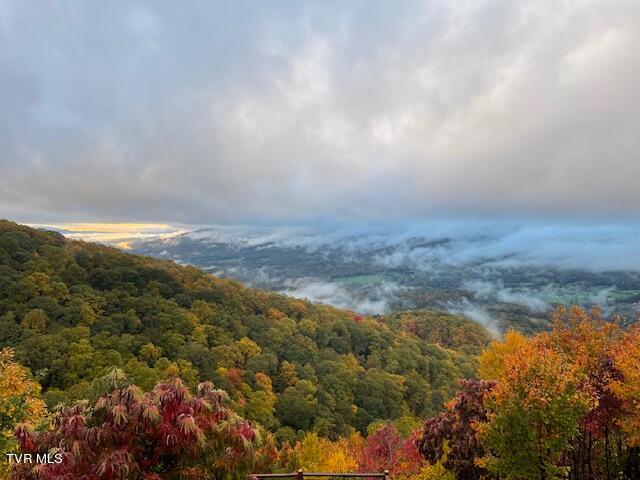 212 Upper Cliffside Drive Elizabethton, TN 37643 - Photo 86 of 130 IMG_1222