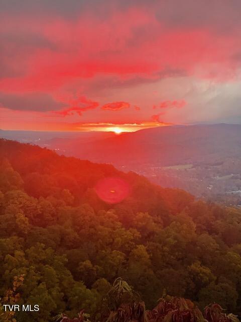 212 Upper Cliffside Drive Elizabethton, TN 37643 - Photo 87 of 130 65758521009__538DED26-668A-454A-BC2D-24B