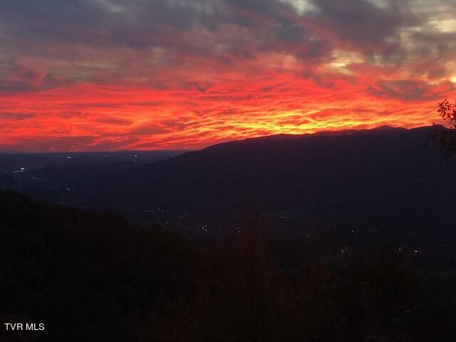 212 Upper Cliffside Drive Elizabethton, TN 37643 - Photo 88 of 130 IMG_5266