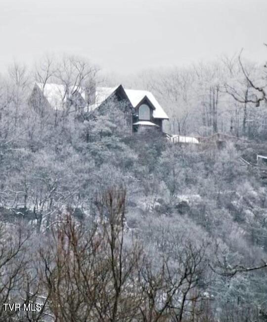 212 Upper Cliffside Drive Elizabethton, TN 37643 - Photo 91 of 130 IMG_1140
