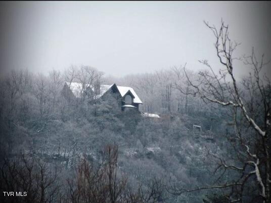 212 Upper Cliffside Drive Elizabethton, TN 37643 - Photo 92 of 130 IMG_1141
