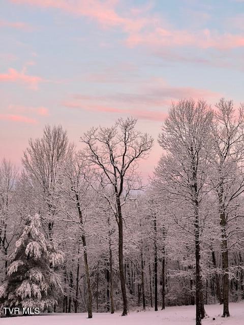 212 Upper Cliffside Drive Elizabethton, TN 37643 - Photo 94 of 130 IMG_0655