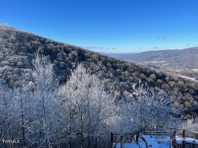 212 Upper Cliffside Drive Elizabethton, TN 37643 - Photo 95 of 130 69367258730__29C7AFDC-AC79-4DB4-80D5-592