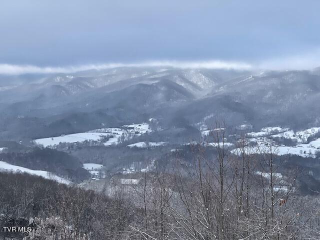 212 Upper Cliffside Drive Elizabethton, TN 37643 - Photo 96 of 130 IMG_1416
