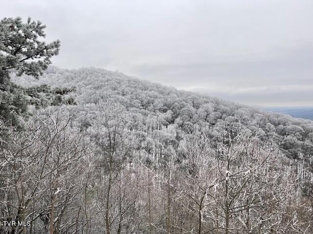 212 Upper Cliffside Drive Elizabethton, TN 37643 - Photo 97 of 130 IMG_1526