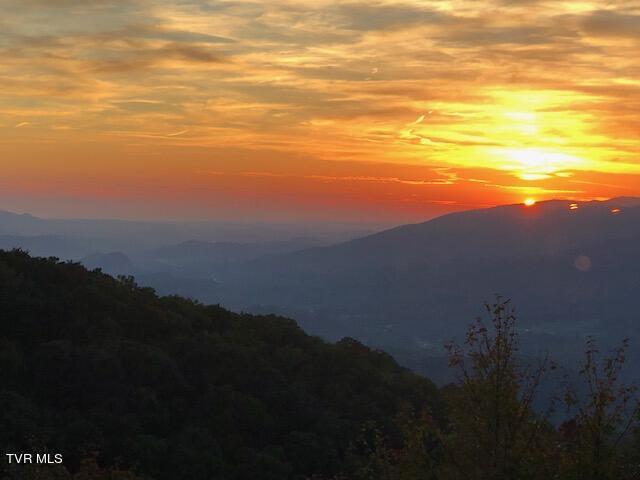 212 Upper Cliffside Drive Elizabethton, TN 37643 - Photo 98 of 130 IMG_5238